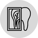 Digital dental X-rays