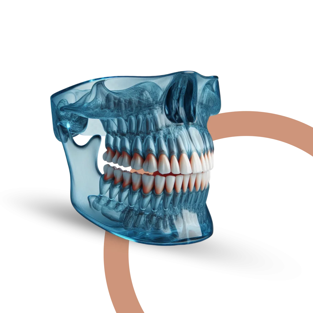 Digital dental X-ray image of teeth and jawbone for diagnostic imaging in Noblesville, IN.