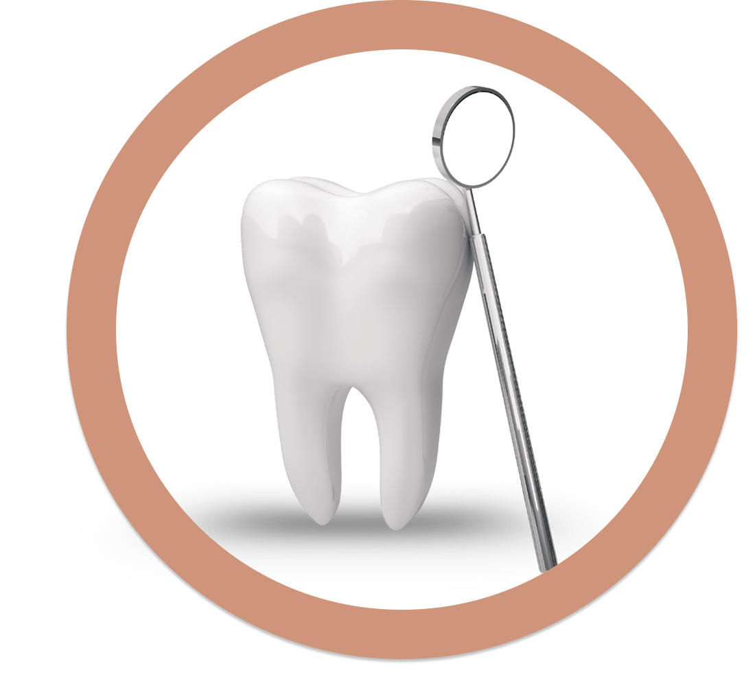 Tooth and dental mirror for a professional cleaning