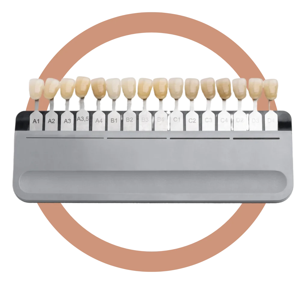 Porcelain veneer shade guide